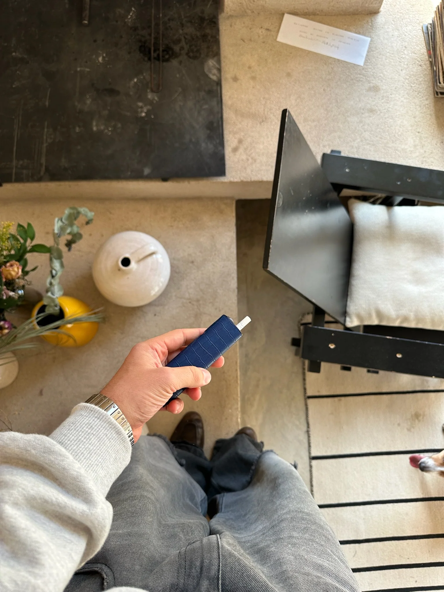 Luvia One Croco Case