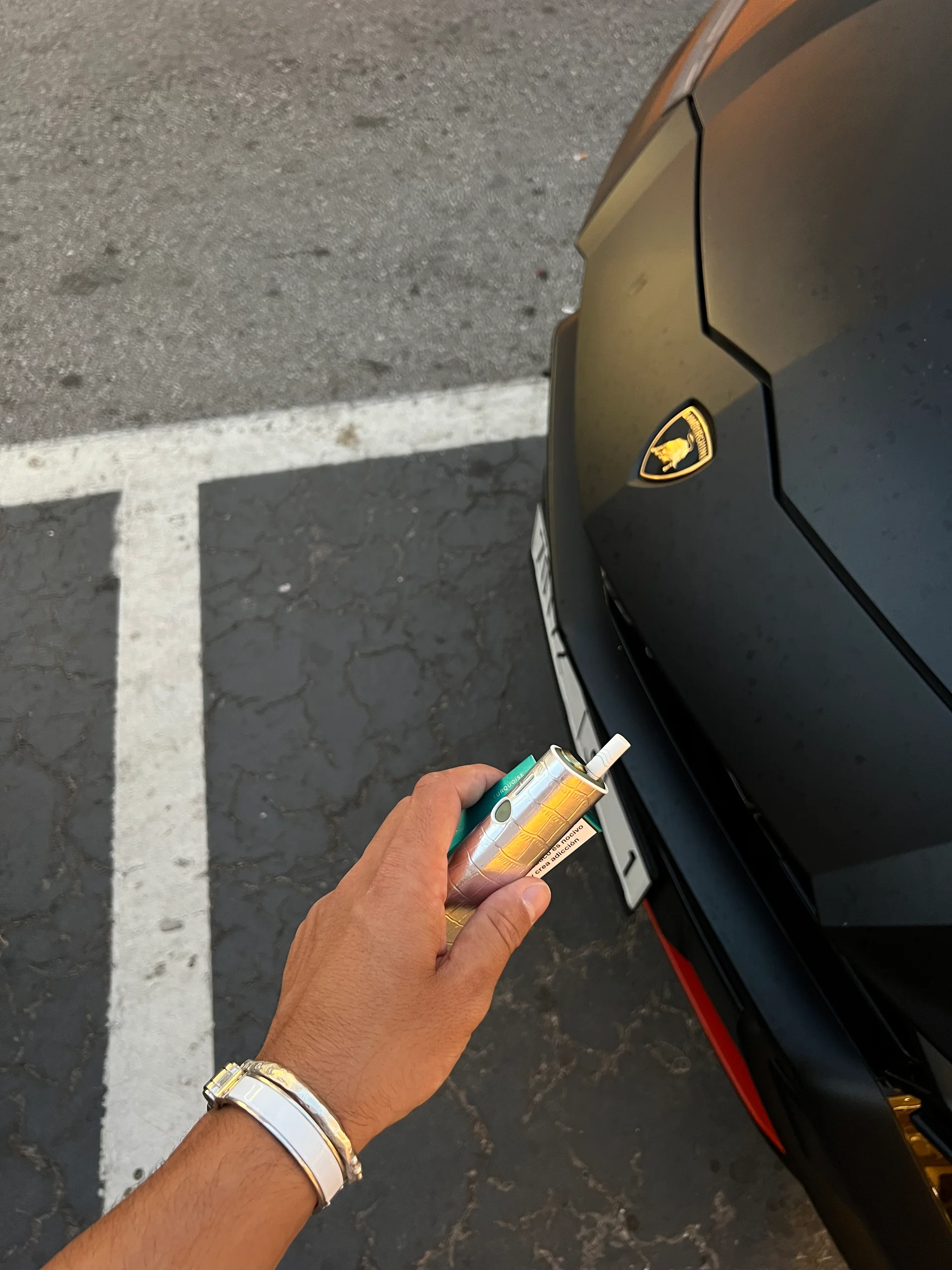 Luvia One Croco Case